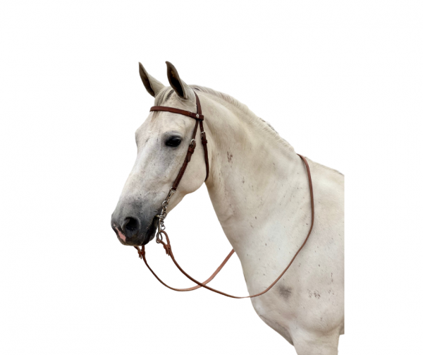 WNS Ear Shy Headstall - Image 2