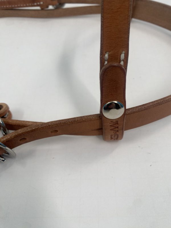WNS Ear Shy Headstall - Image 4