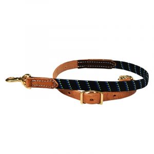 WNS Flex Trainer and Flex Caveson Set