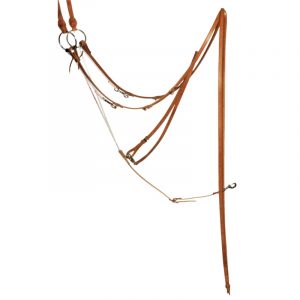 Training German Martingale
