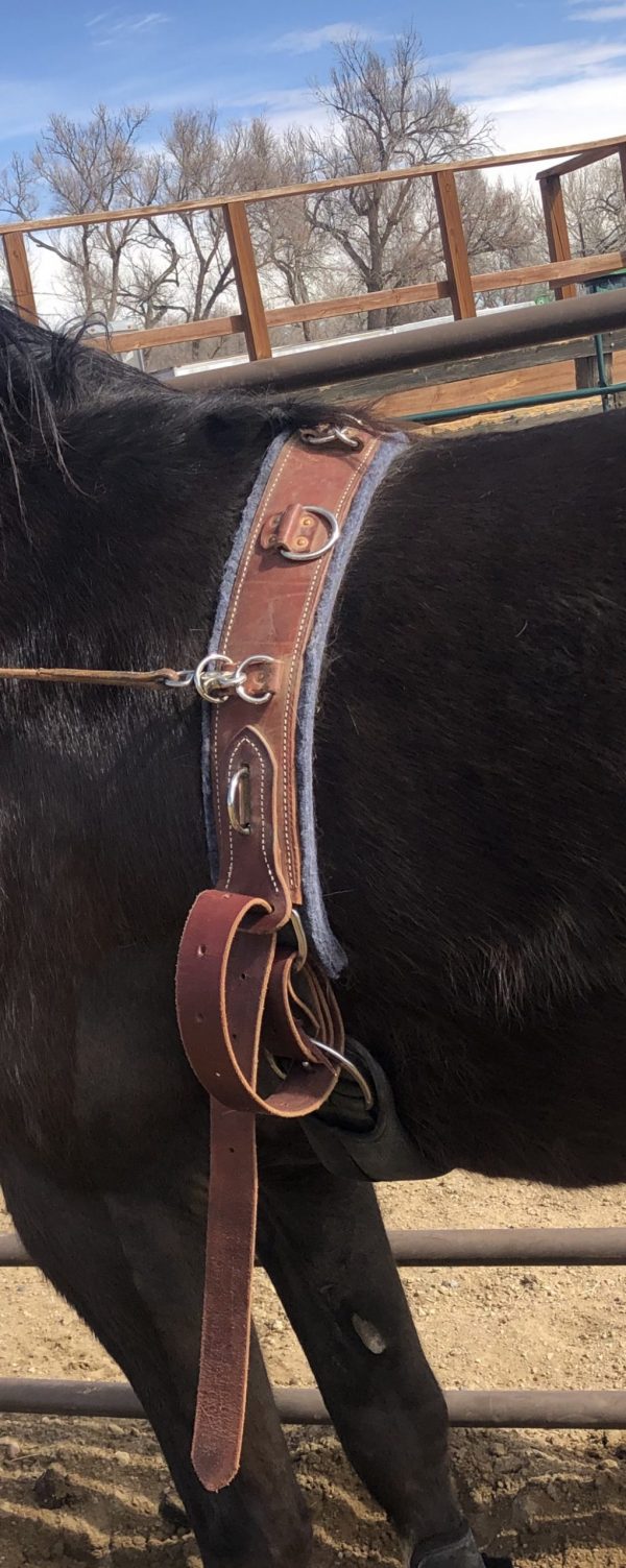 WNS Leather Surcingle - Image 6